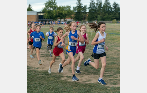 Cross départemental